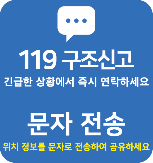 119 구조신고 — 문자 전송